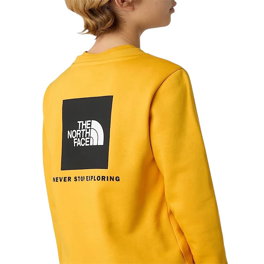  The North Face | NF0A89H756P